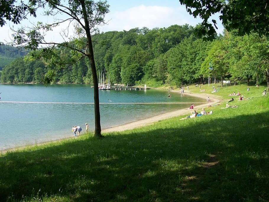 Ferienhaus Lena Im Sauerland Direkt Am Hennesee ميشيده المظهر الخارجي الصورة