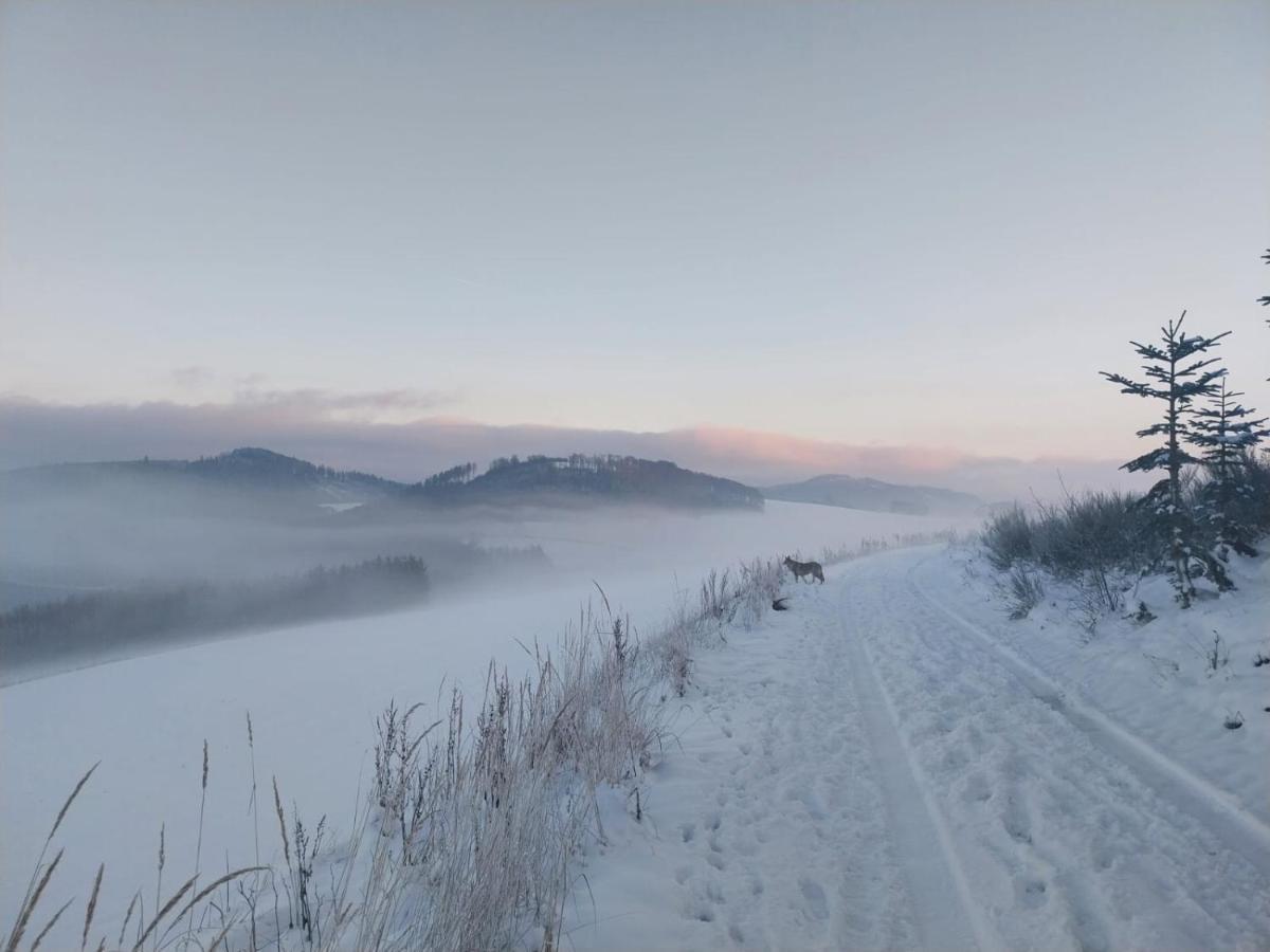 Ferienhaus Lena Im Sauerland Direkt Am Hennesee ميشيده المظهر الخارجي الصورة