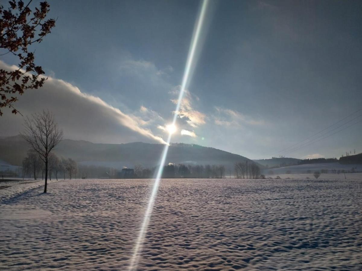 Ferienhaus Lena Im Sauerland Direkt Am Hennesee ميشيده المظهر الخارجي الصورة