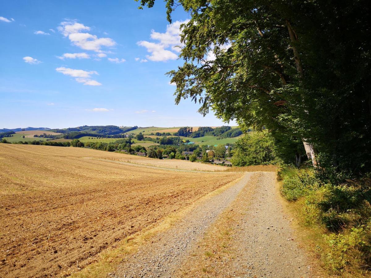 Ferienhaus Lena Im Sauerland Direkt Am Hennesee ميشيده المظهر الخارجي الصورة