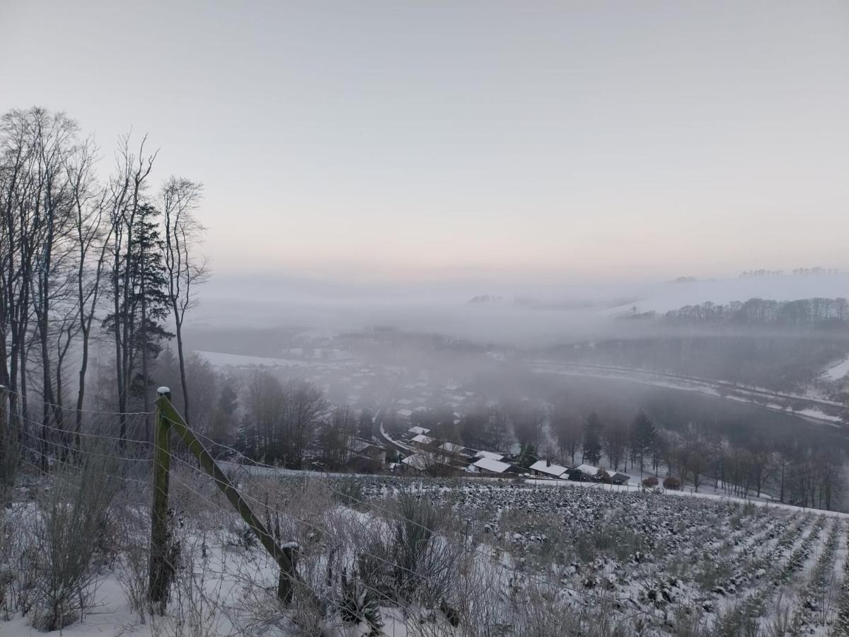 Ferienhaus Lena Im Sauerland Direkt Am Hennesee ميشيده المظهر الخارجي الصورة